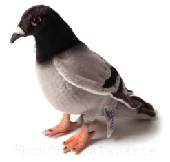 knuffelduif Hansa