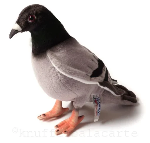 knuffelduif Hansa
