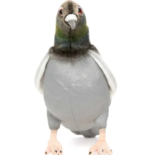 knuffelduif Hansa