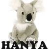 Minikane/Semo koalabeer Hanya