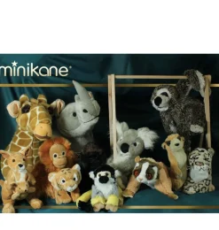 Minikane/Semo koalabeer Hanya