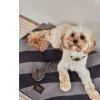 OYOY hondenspeelgoed Otto Rope