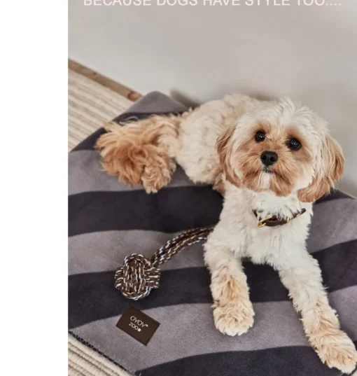 OYOY hondenspeelgoed Otto Rope